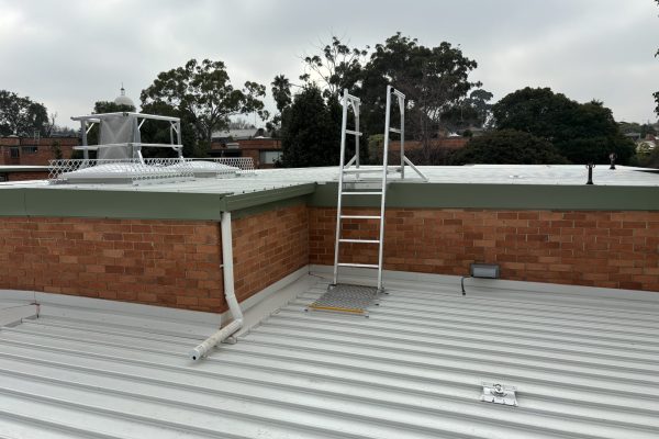 Ladder Installation Service Melbourne